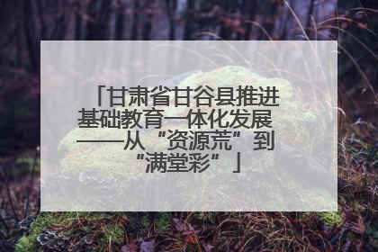 甘肃省甘谷县推进基础教育一体化发展——从“资源荒”到“满堂彩”