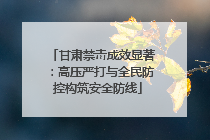 甘肃禁毒成效显著：高压严打与全民防控构筑安全防线