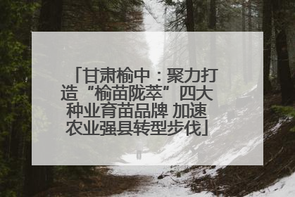 甘肃榆中：聚力打造“榆苗陇萃”四大种业育苗品牌 加速农业强县转型步伐