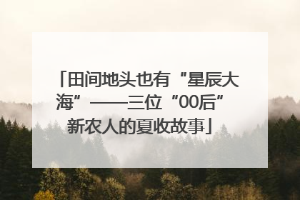 田间地头也有“星辰大海”——三位“00后”新农人的夏收故事