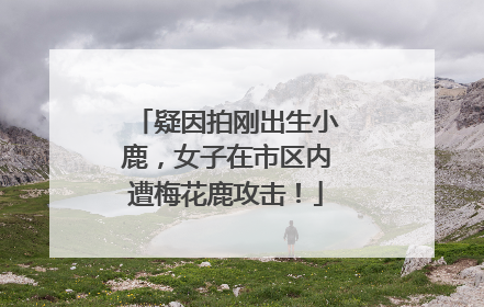 疑因拍刚出生小鹿，女子在市区内遭梅花鹿攻击！