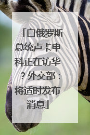 白俄罗斯总统卢卡申科正在访华？外交部：将适时发布消息