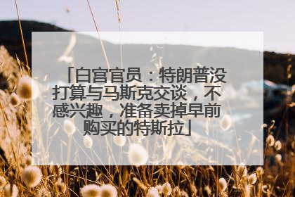 白宫官员：特朗普没打算与马斯克交谈，不感兴趣，准备卖掉早前购买的特斯拉