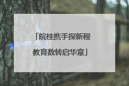 皖桂携手探新程 教育数转启华章