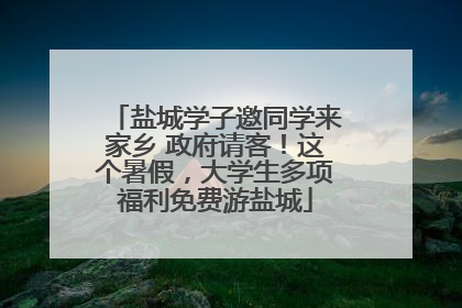 盐城学子邀同学来家乡 政府请客！这个暑假，大学生多项福利免费游盐城