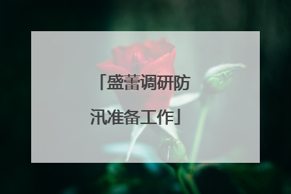盛蕾调研防汛准备工作