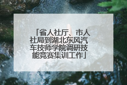 省人社厅、市人社局到湖北东风汽车技师学院调研技能竞赛集训工作
