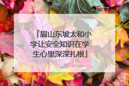 眉山东坡太和小学让安全知识在学生心里深深扎根