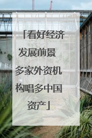 看好经济发展前景 多家外资机构唱多中国资产