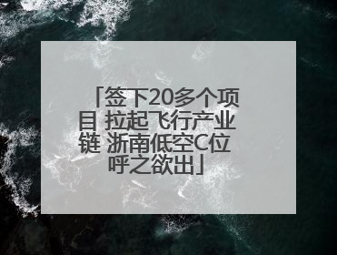 签下20多个项目 拉起飞行产业链 浙南低空C位呼之欲出