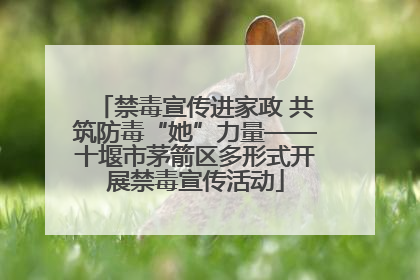 禁毒宣传进家政 共筑防毒“她”力量——十堰市茅箭区多形式开展禁毒宣传活动