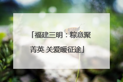 福建三明：粽意聚菁英 关爱暖征途