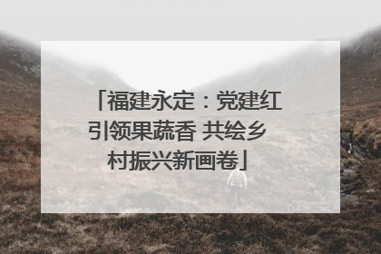 福建永定：党建红引领果蔬香 共绘乡村振兴新画卷