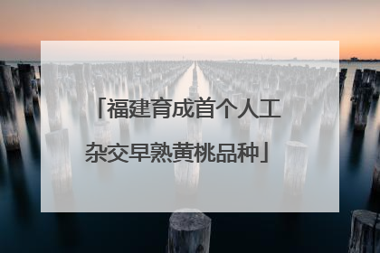 福建育成首个人工杂交早熟黄桃品种