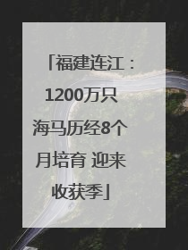 福建连江：1200万只海马历经8个月培育 迎来收获季