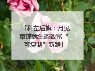 科左后旗：月见草铺就生态致富“可复制”新路