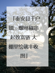秦安县千户镇：螺丝椒串起致富链 大棚里绘就丰收图