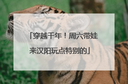 穿越千年！周六带娃来汉阳玩点特别的