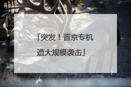 突发！普京专机遭大规模袭击