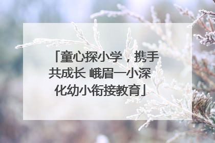 童心探小学，携手共成长 峨眉一小深化幼小衔接教育