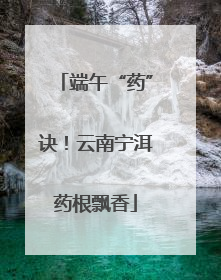 端午“药”诀！云南宁洱药根飘香