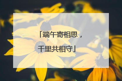 端午寄相思，千里共相守