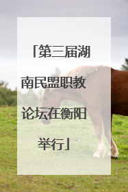 第三届湖南民盟职教论坛在衡阳举行