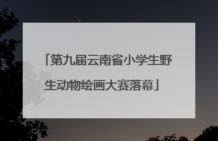 第九届云南省小学生野生动物绘画大赛落幕