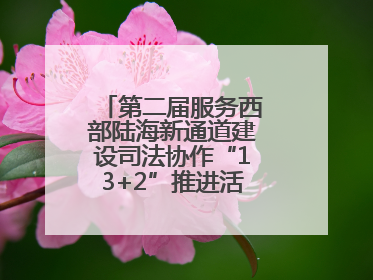 第二届服务西部陆海新通道建设司法协作“13+2”推进活动在南宁举办