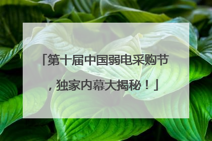 第十届中国弱电采购节，独家内幕大揭秘！