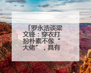 罗永浩谈梁文锋：穿衣打扮朴素不像“大佬”，具有强烈求知欲