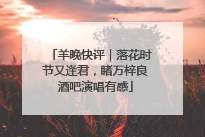 羊晚快评｜落花时节又逢君，睹万梓良酒吧演唱有感