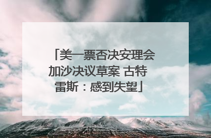 美一票否决安理会加沙决议草案 古特雷斯：感到失望