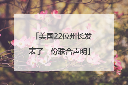 美国22位州长发表了一份联合声明