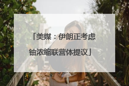 美媒：伊朗正考虑铀浓缩联营体提议