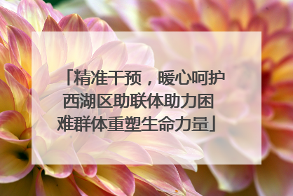 精准干预，暖心呵护 西湖区助联体助力困难群体重塑生命力量