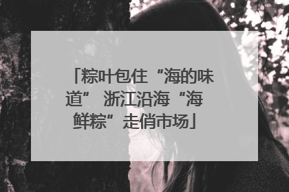 粽叶包住“海的味道” 浙江沿海“海鲜粽”走俏市场