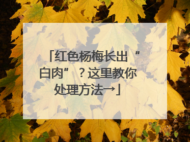 红色杨梅长出“白肉”？这里教你处理方法→