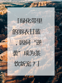 绿化带里的羽衣甘蓝，因何“逆袭”成为茶饮新宠？