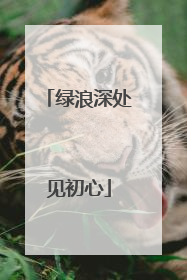 绿浪深处见初心