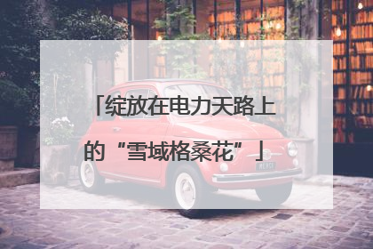 绽放在电力天路上的“雪域格桑花”
