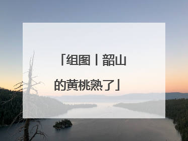 组图丨韶山的黄桃熟了