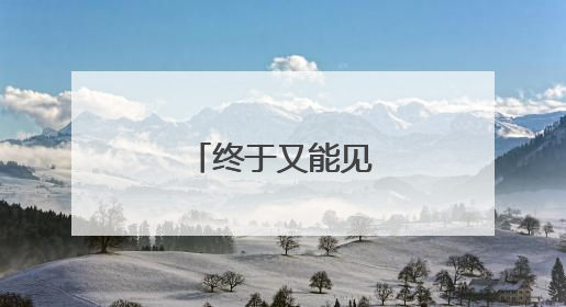 终于又能见到樊振东了