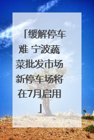 缓解停车难 宁波蔬菜批发市场新停车场将在7月启用