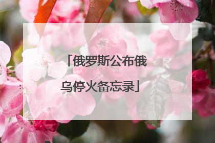 俄罗斯公布俄乌停火备忘录