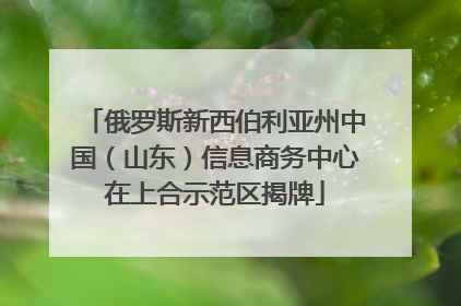 俄罗斯新西伯利亚州中国（山东）信息商务中心在上合示范区揭牌