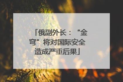 俄副外长：“金穹”将对国际安全造成严重后果