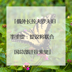 俄外长拉夫罗夫旧事重提：提议将联合国总部迁往索契