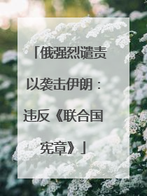 俄强烈谴责以袭击伊朗：违反《联合国宪章》