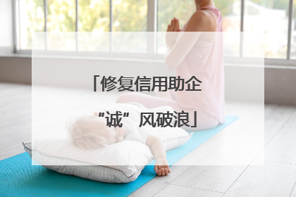 修复信用助企“诚”风破浪